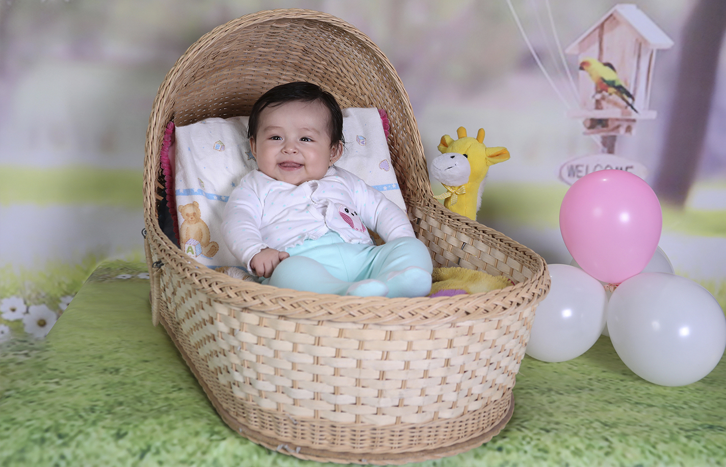 Baby portrait