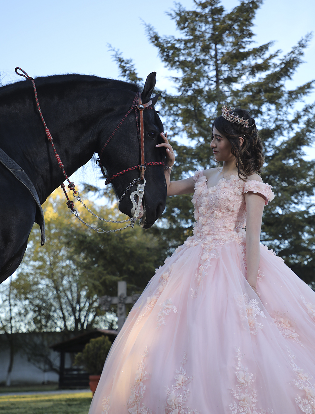 Girl portrait with a black horse